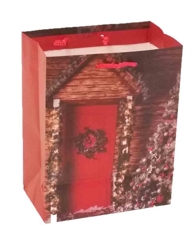 X316 - 4 x 7 x 9" Medium Gift Bag - .95 ea, .75/12