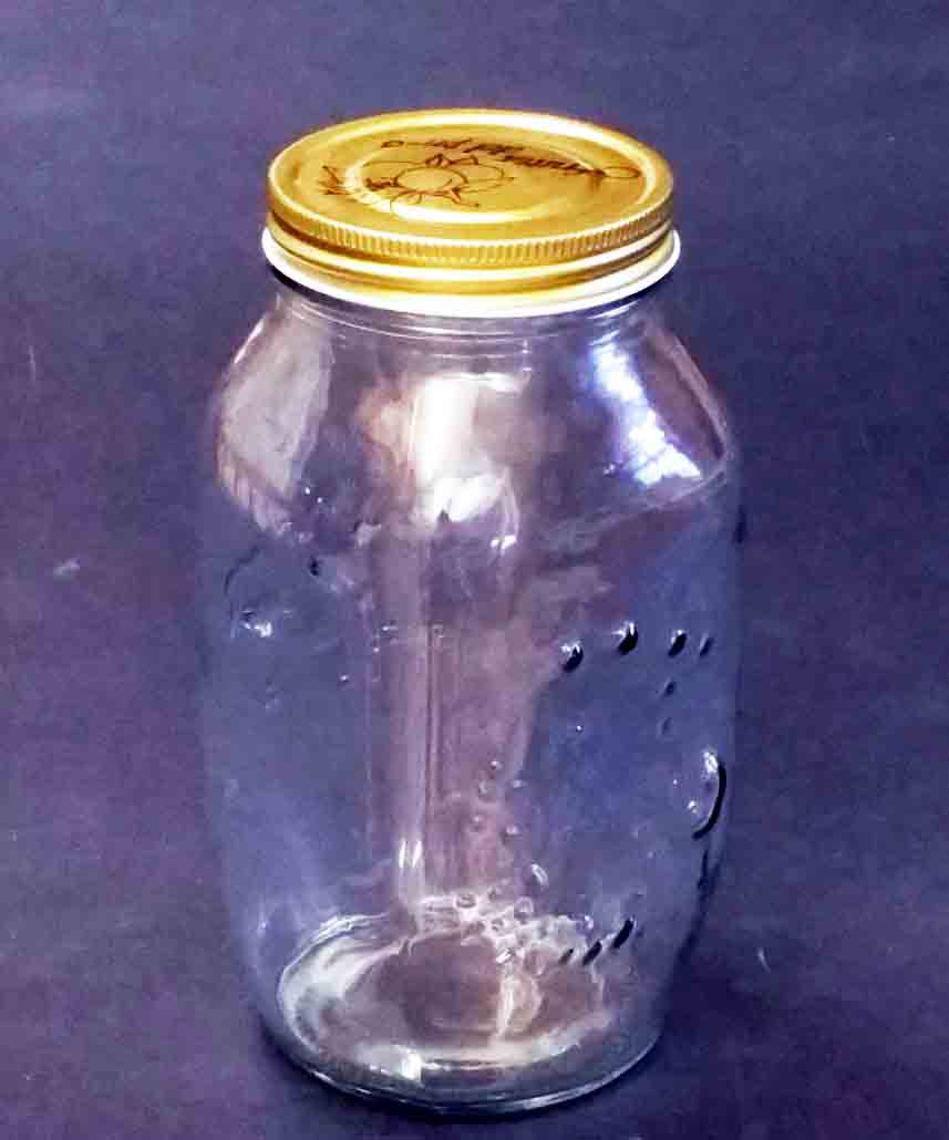 GL35 - 8.25" Glass Jar with Lid - 4.25 ea, 3.95/12