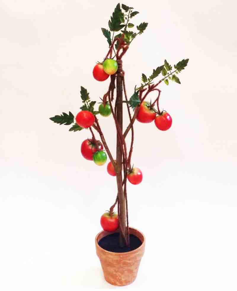 TP42 - 29" Tomato Plant on Pole - 29.50 ea, 28.95/2