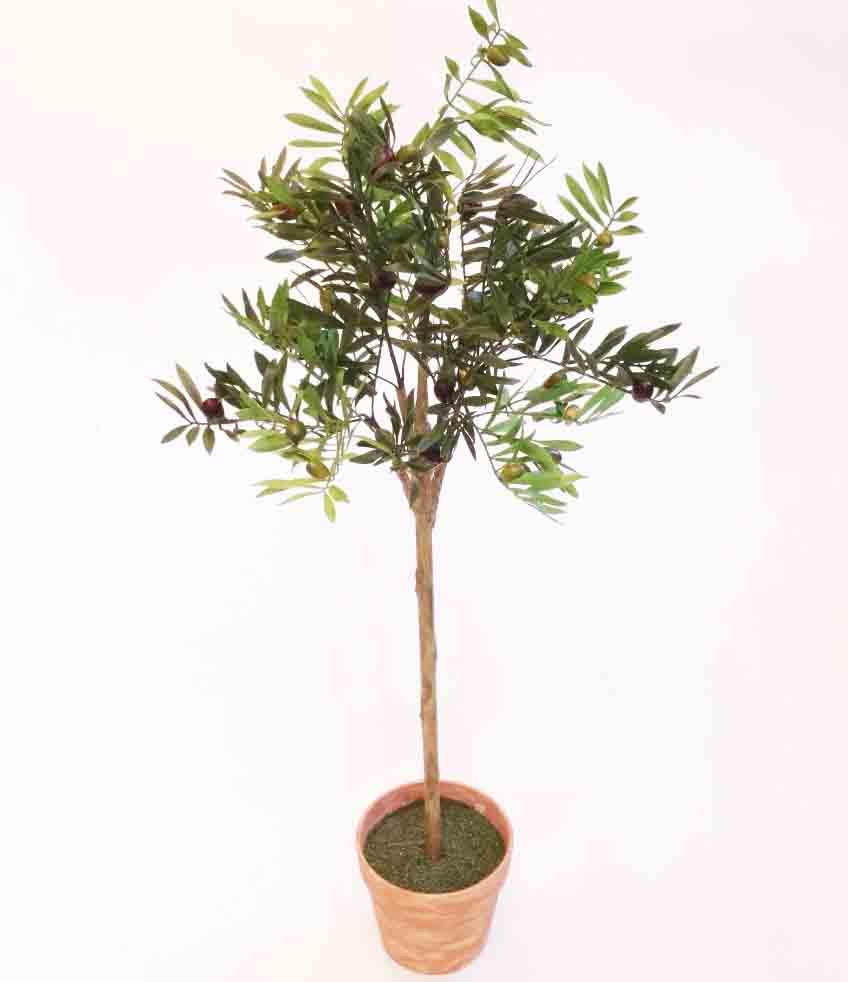 OT42 - 42" Olive Leaf Plant with Olives - 31.80 ea