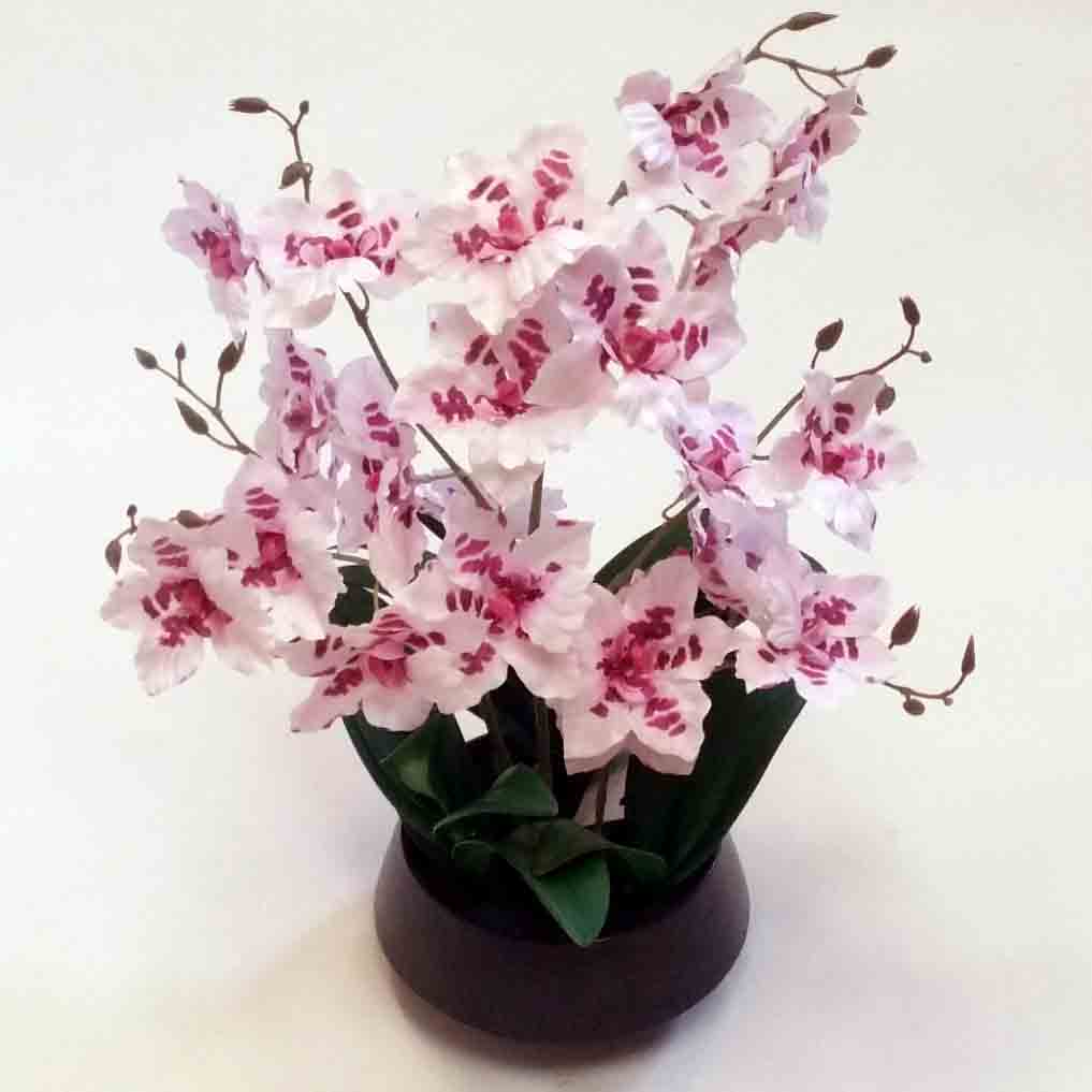 OP702 - Orchid Arrangement in Ceramic Pot - 28.60 ea