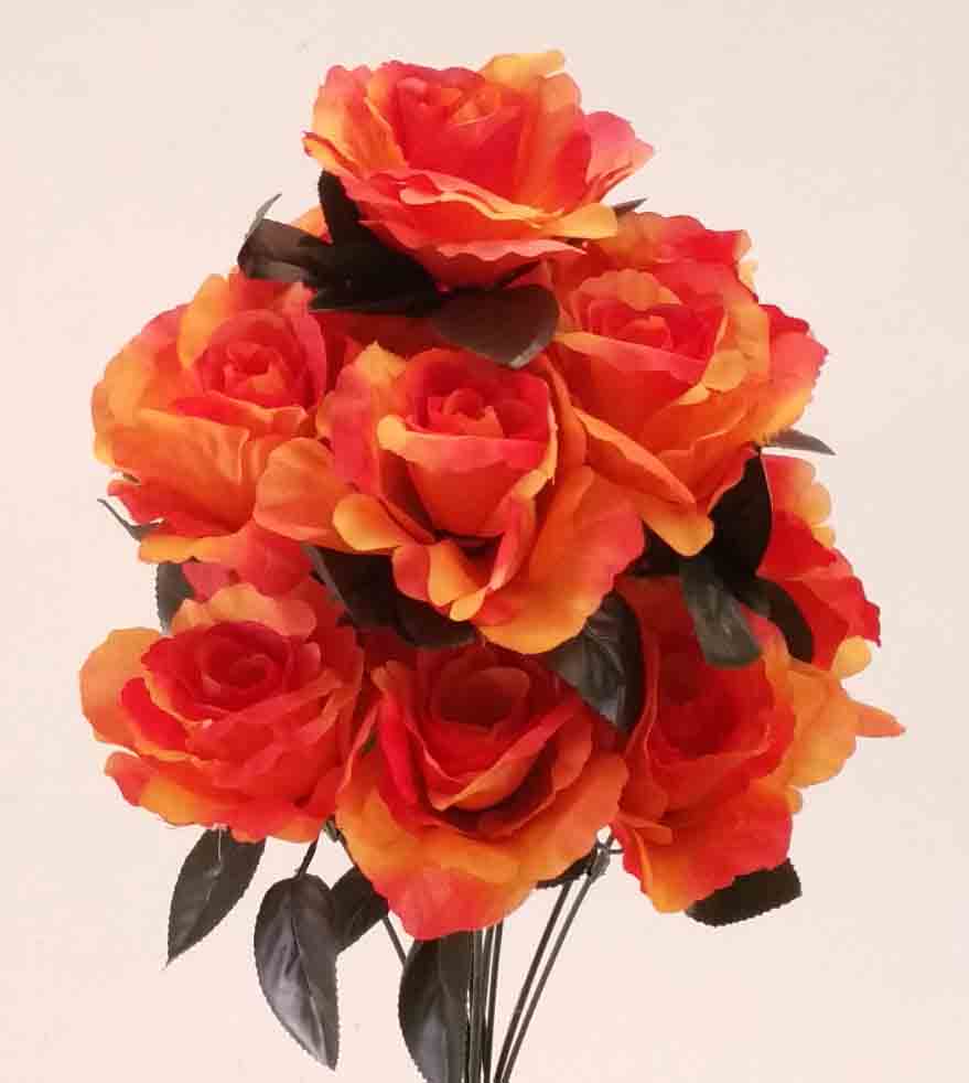 RBE12 - 16" Orange Econo Rose Bush - 7.50 ea, 6.95/12