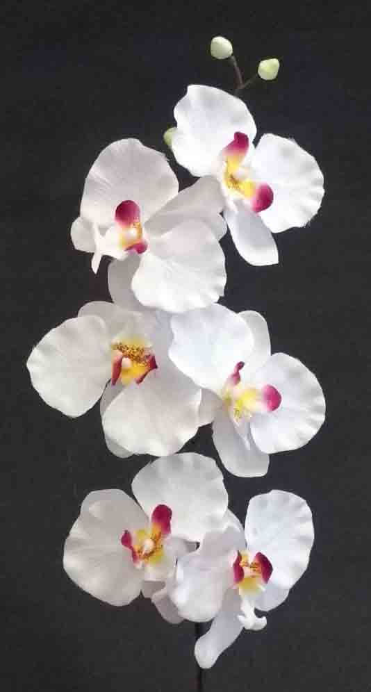 OP63 - 30" Phalenopsis Orchid Spray - 3.95 ea, 3.50/24