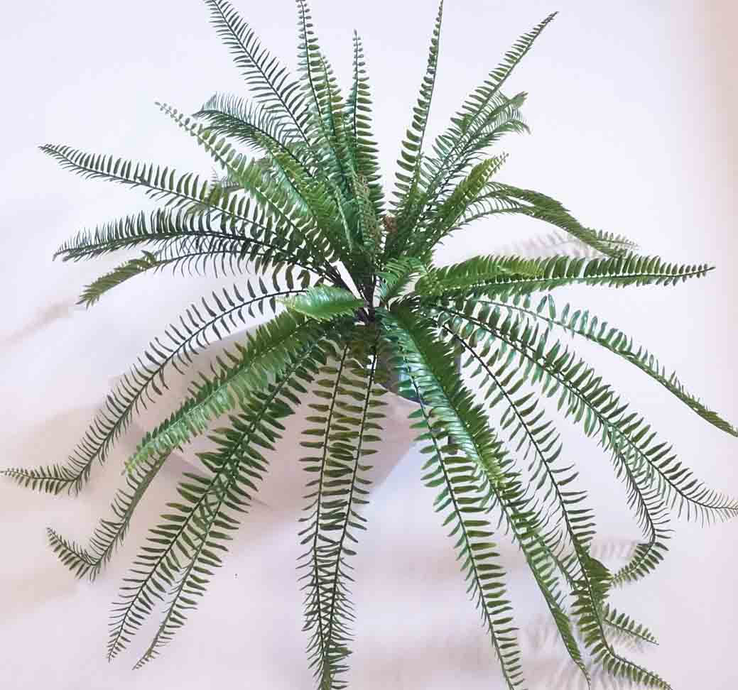 BF30 - 30" Plastic Boston Fern Bush - 19.50 ea