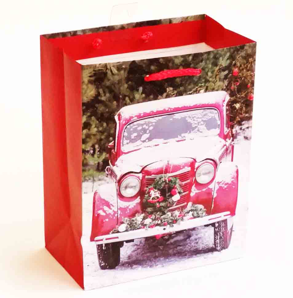 X316 - 4 x 7 x 9" Medium Gift Bag - .95 ea, .75/12