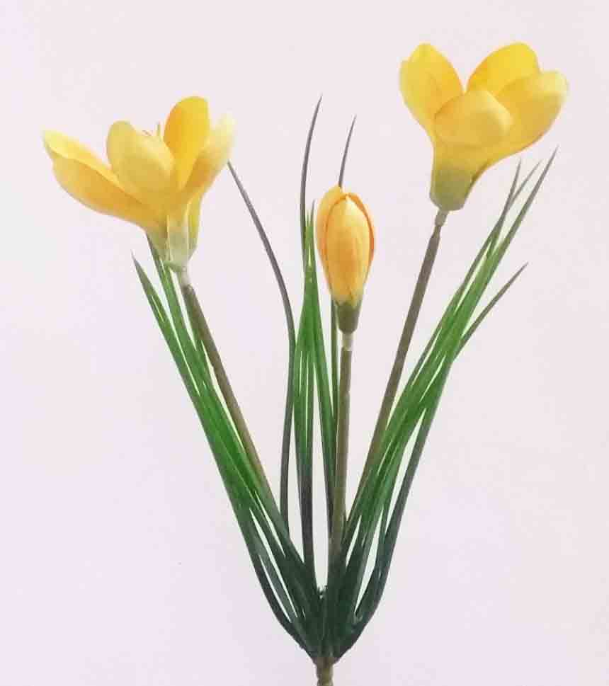 CB30 - 11" Wild Crocus Bush x 2 with 1 Bud - 1.50 ea