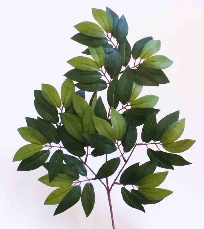 FS90 - 22" Ficus Spray - 2.65 ea, 2.35/48