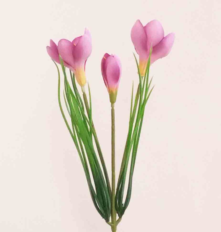 CB30 - 11" Wild Crocus Bush x 2 with 1 Bud - 1.95 ea, 1.75/24