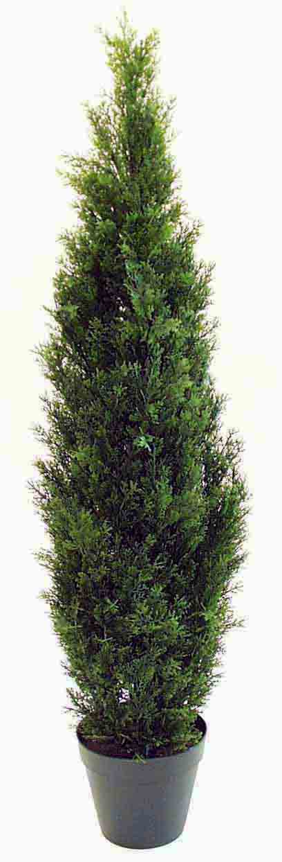 CT4 - 4' Cedar Tree - 75.75 ea