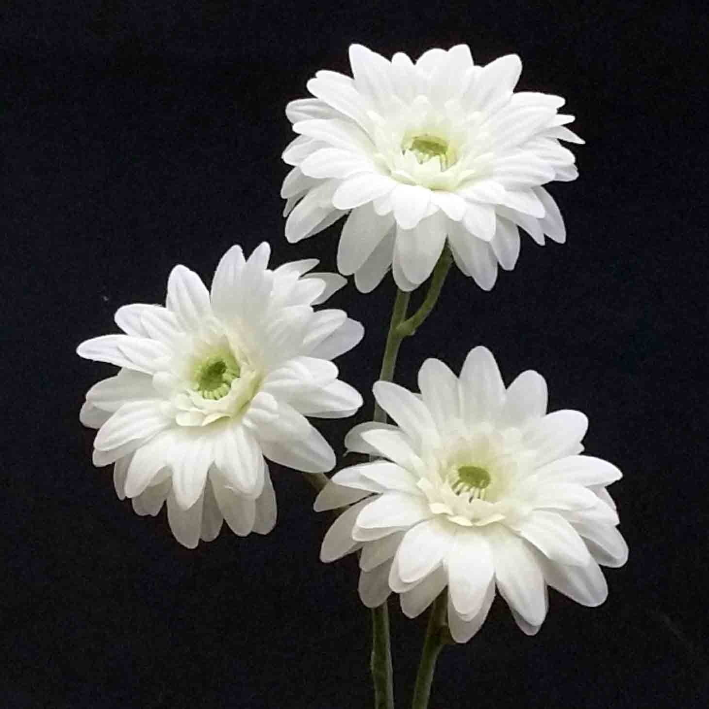 G14 - 14" Gerbera Spray -  1.55 ea,