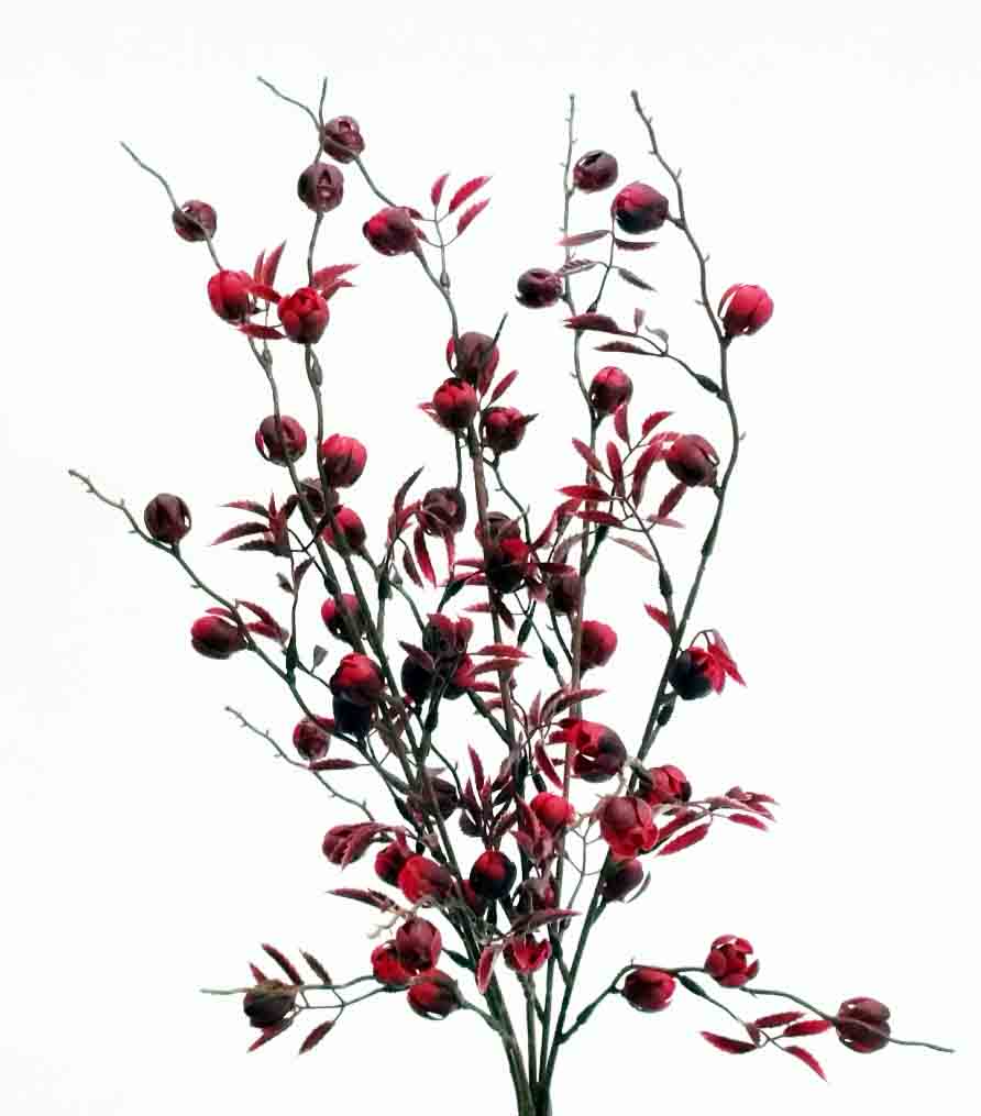 BB16 - 16" Begonia Berry Bush - 7.40 ea, 6.95/12