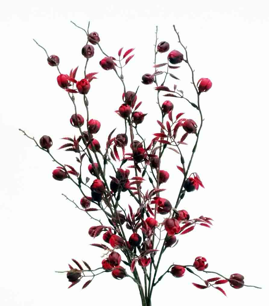 BB16 - 16" Begonia Berry Bush - 5.75 ea, 5.45/12