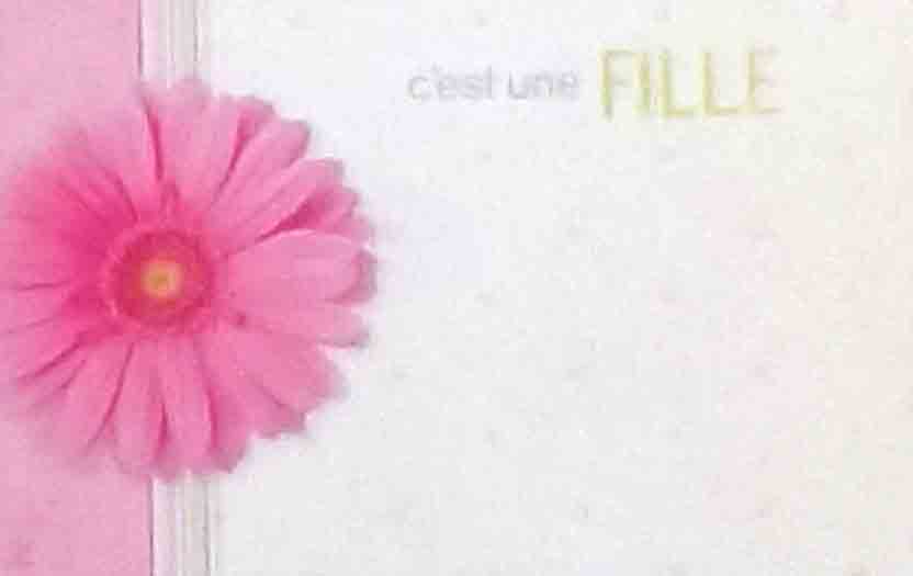 AZ5250 - C'est Une Fille - 2.45 pkg, 2.25/10