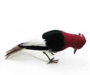 2760 - 5.5" Woodpecker - 2.50 ea