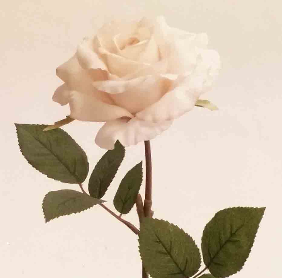 R02 - 25" Cream Single Rose - 3.50 ea, 2.95/12
