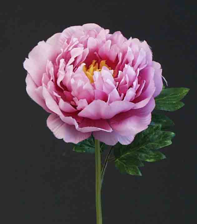 P30 - 12" Pink Peony Pick - 1.65 ea
