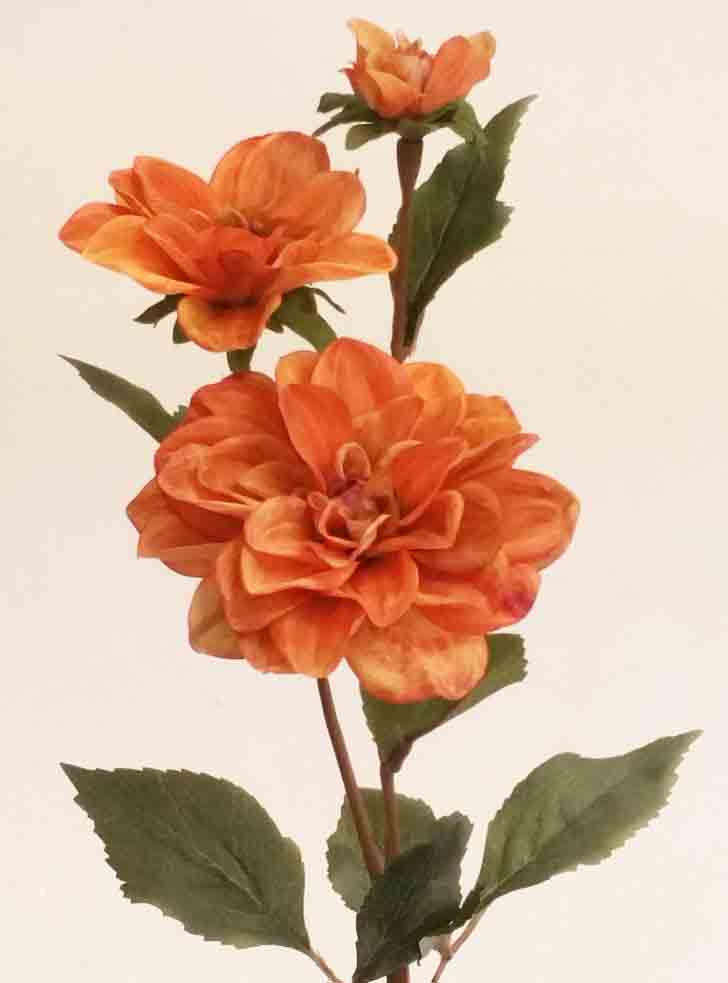 D05 - 24" Burnt Orange Dahlia Spray - 4.25 ea, 3.85/12