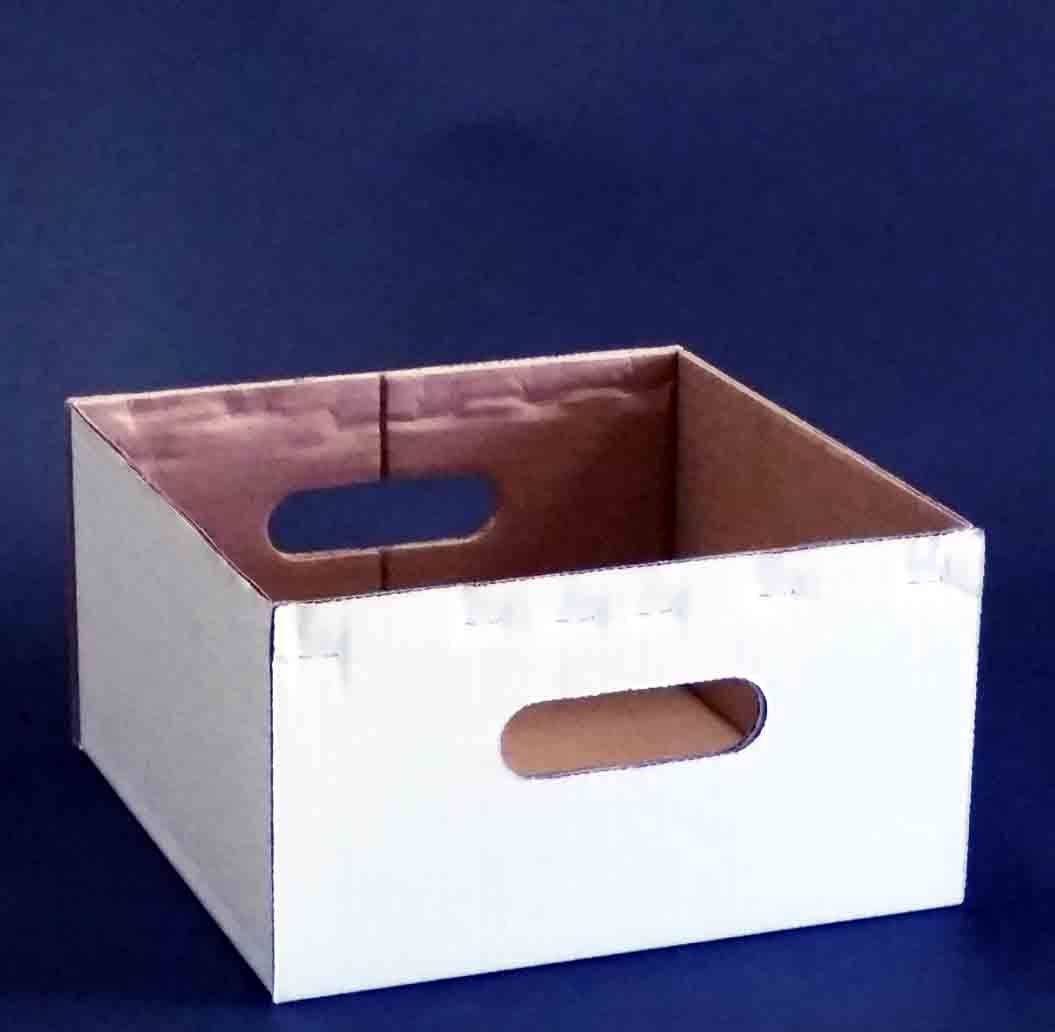 599 - 9 x 9 x 5" Delivery Box - 88.90 bdle