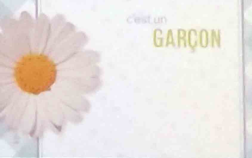 AZ5249- C'est Un Garcon - 2.45 pkg, 2.25/10