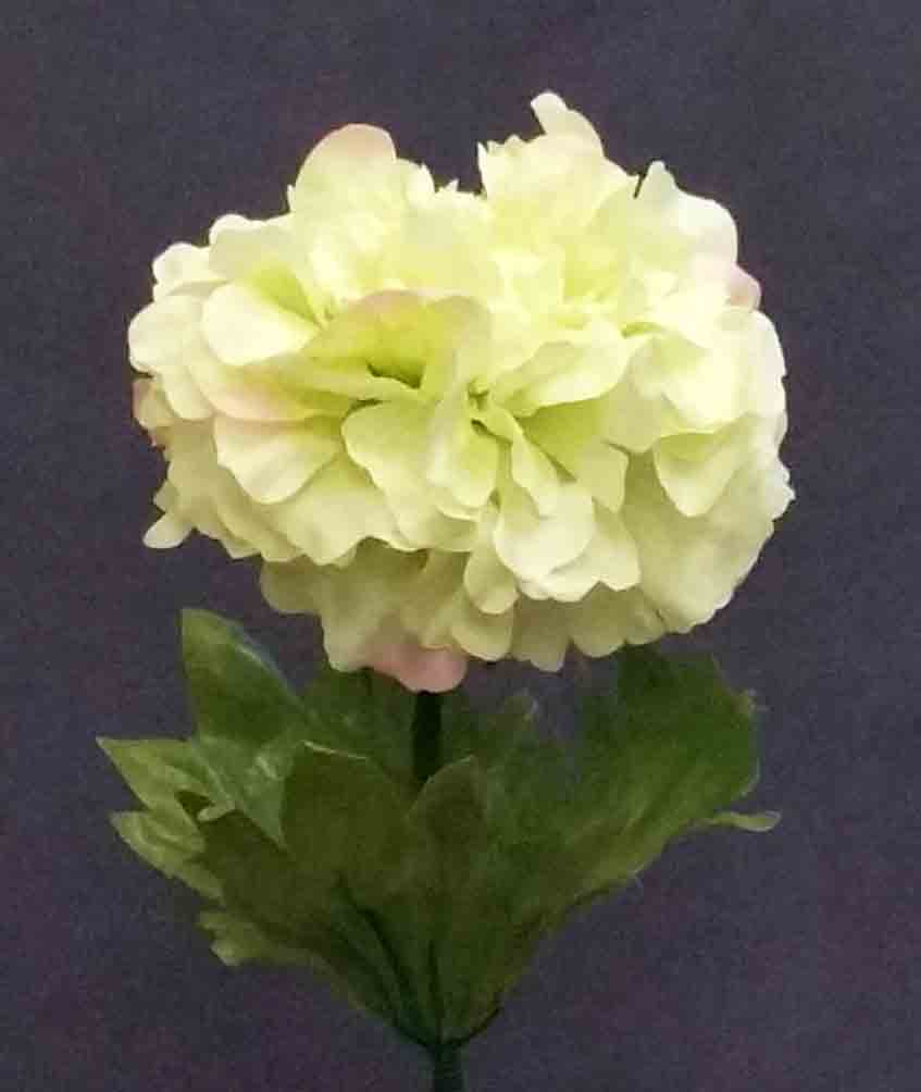 R727 - 16" Green Single Ranunculus - 2.40 ea, 2.10/12