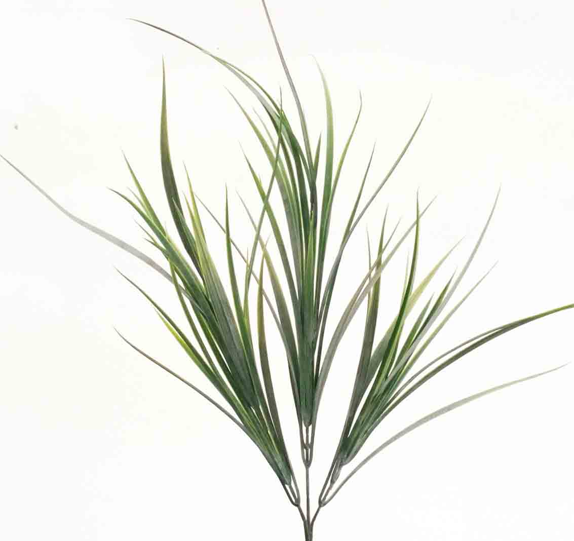 LS31 - 30" Leaves Spray x 3 - 2.95 ea