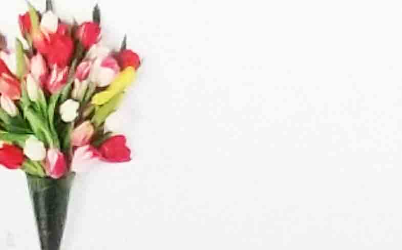 AC5145 - No Sentiment - 2.10 pkg, 1.85/10