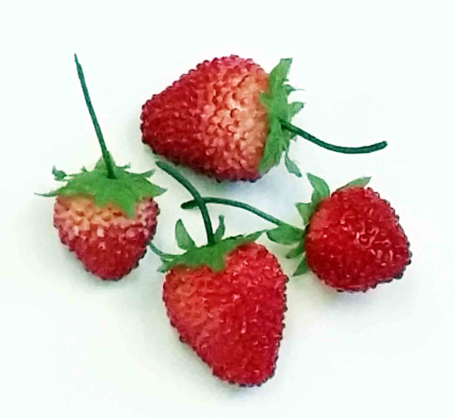 6405 - 1" to 1.5" Strawberries - 2.50 bag of 12