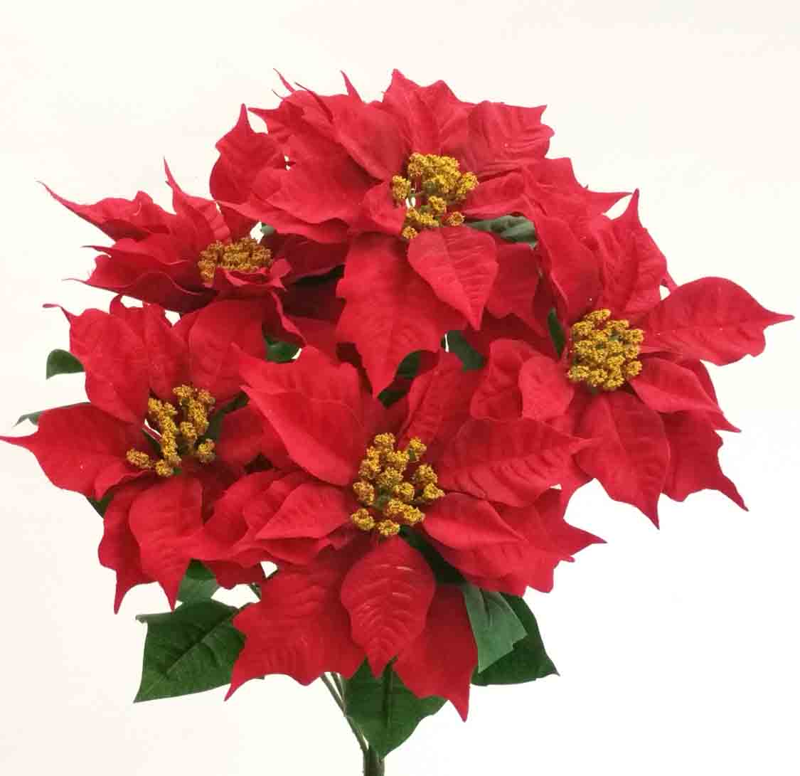 X28 - 21" Red Poinsettia Bush x 7 - 19.65 ea