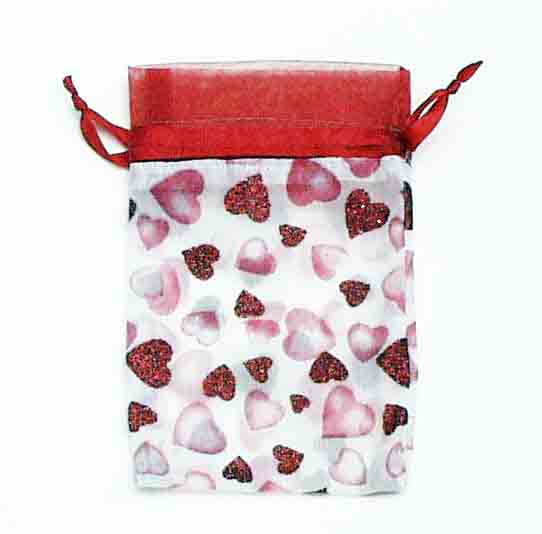 8146 - 4 x 6" Sheer Gift Bag - 4.95 pkg