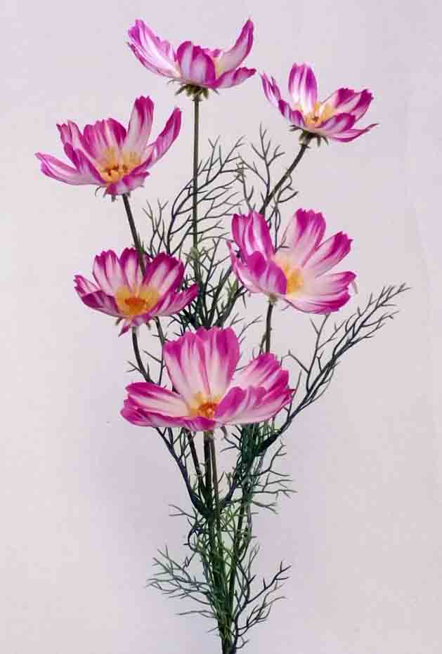 C199 - 31" Cream/Purple Cosmo x 6 - 3.25 ea, 2.95/12