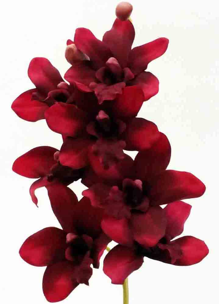 O38 - 38" Burgundy/Red Cymbidium Orchid Spray - 6.95 ea
