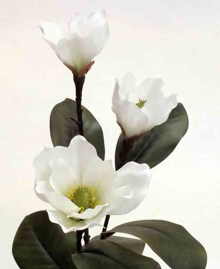 M413 - 31" White Magnolia Spray x 3 - 8.30 ea, 7.95/12