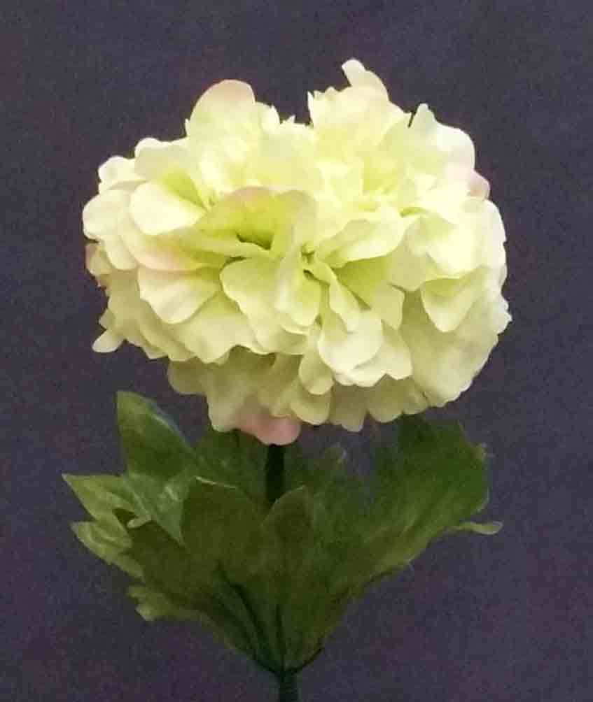 R727 - 16" Green Single Ranunculus - 1.85 ea