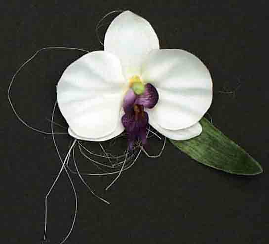 FO4 - 4" Floating Orchid - .98 ea