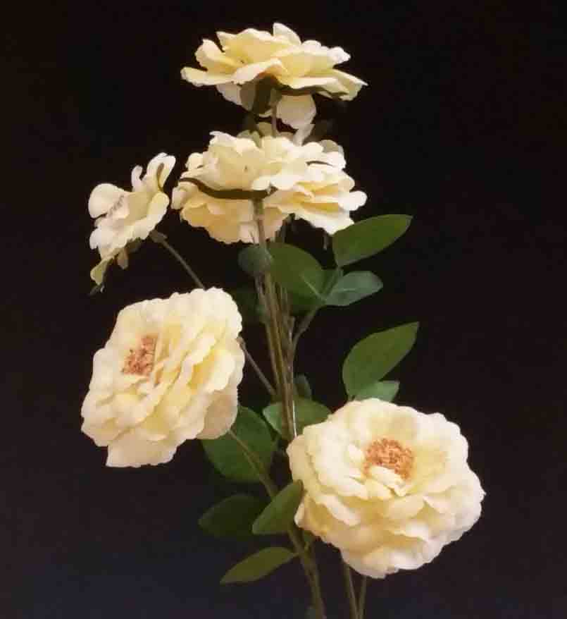 R7 - Yellow 36" Beijing Rose x 7 - 6.50 ea, 5.95/12