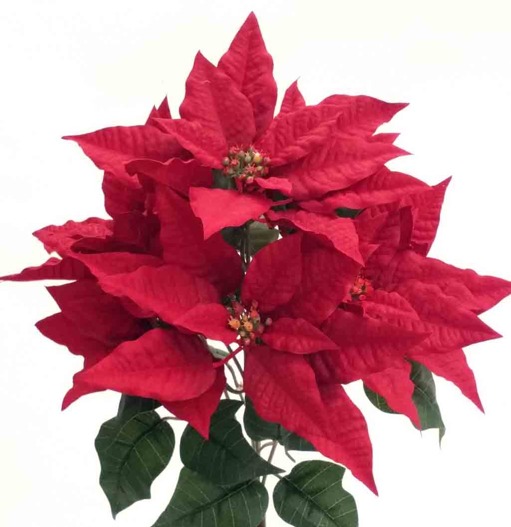 X16 - 19" Red Poinsettia Bush x 7 - 12.25 ea