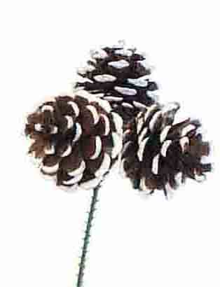 X755 - Triple Pine Cone Pick - .80 ea, .75/12, .65/144