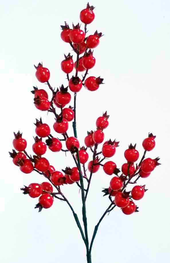 PS31 - 31" Pomegranate Spray - 8.50 ea, 7.95/12
