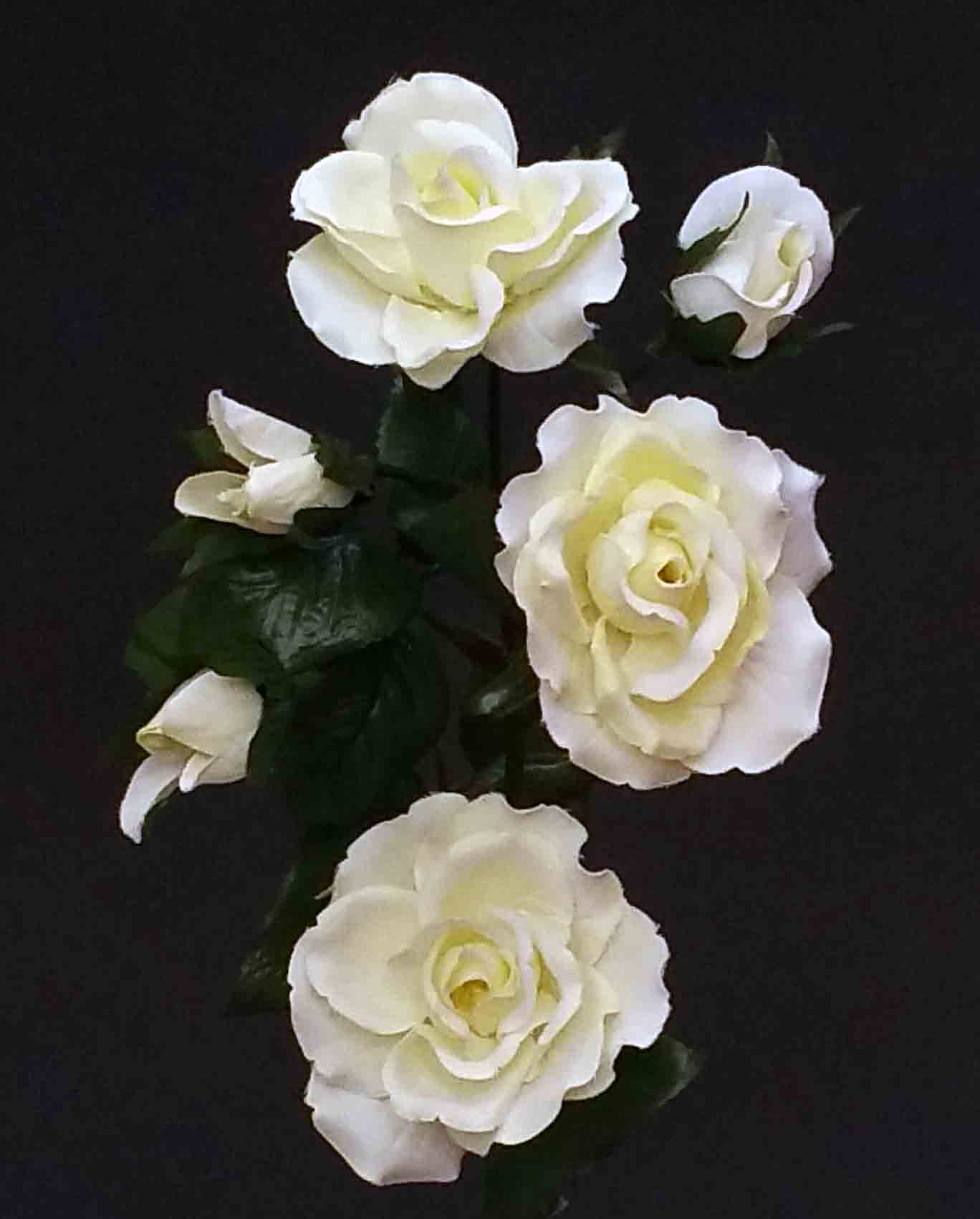 R5 - 24" Cream Rose Spray - 3.60 ea, 3.30/12