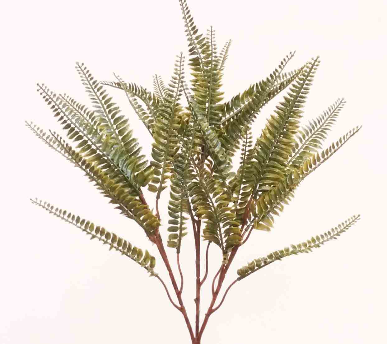 FB250 - 20.5" Fern Bush x 3 - 5.75 ea, 5.40/12