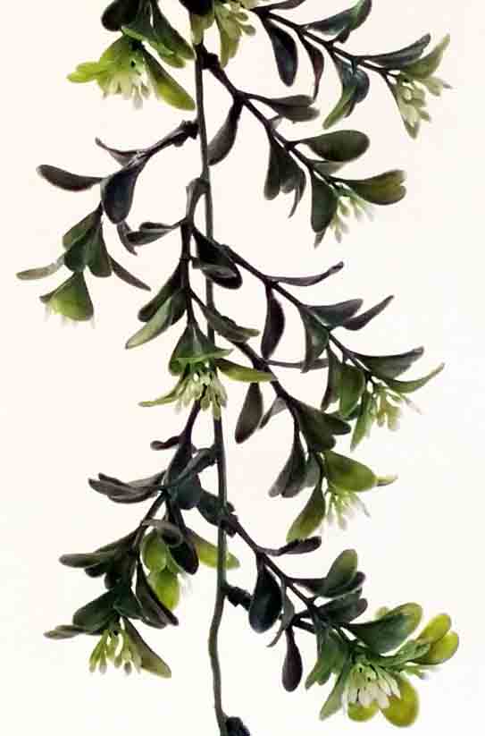 BG84 - 6' Large Boxwood Garland - 5.95 ea