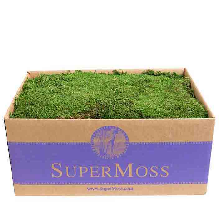 4805 - Preserved Sheet Moss - 3 lb box - 65.50 box