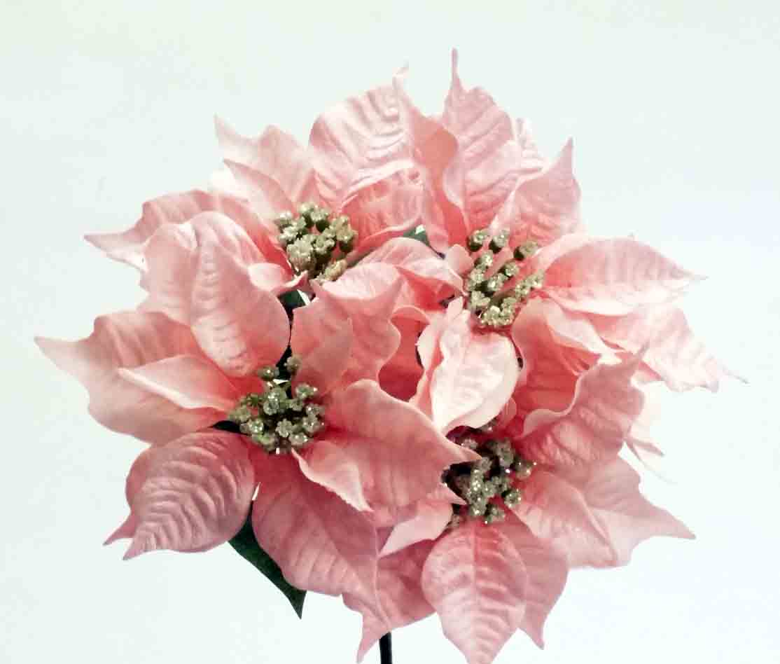 X328 - 13" Pink Poinsettia Bush x 5 - 14.95 ea