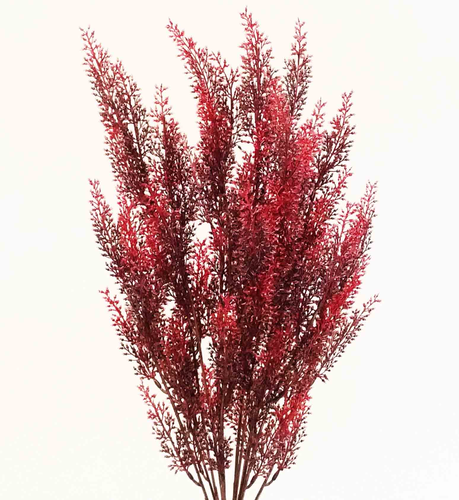 Home Sproule Florist Supply