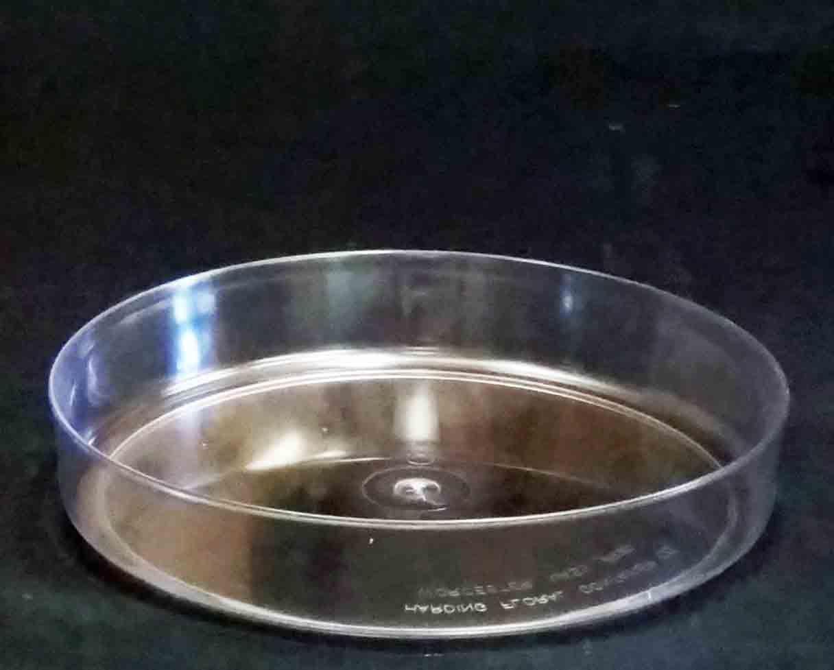 1794 - 10" Round Design Tray - 3.95 ea, 3.55/18