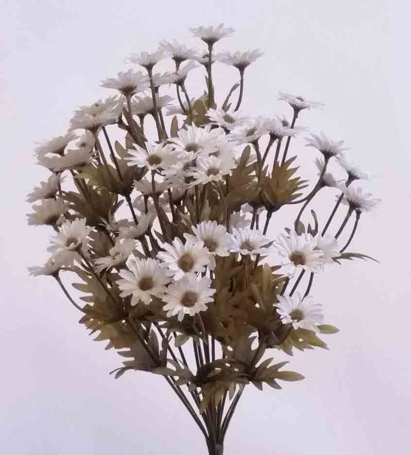 DB14 - 16" White Daisy Bush - 12.95 ea, 11.85/12