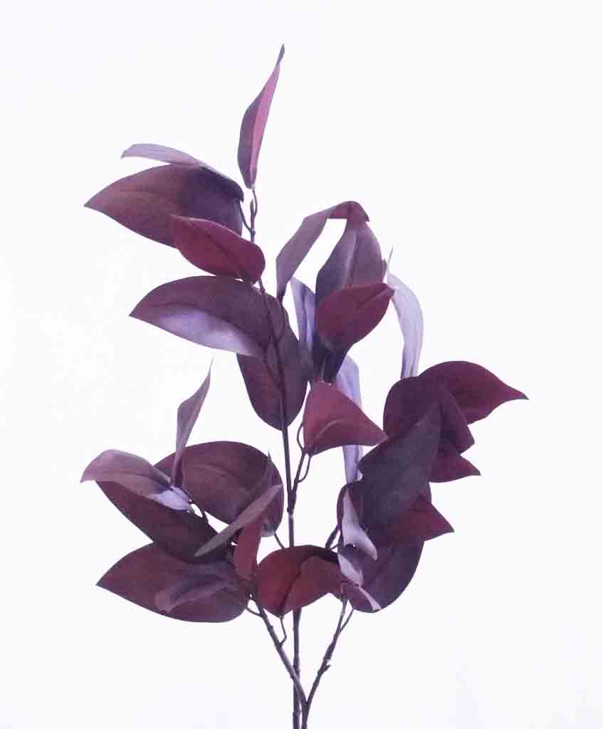 PL1 - 33" Purple Paul's Leaf - 6.50 ea, 5.75/12 ea