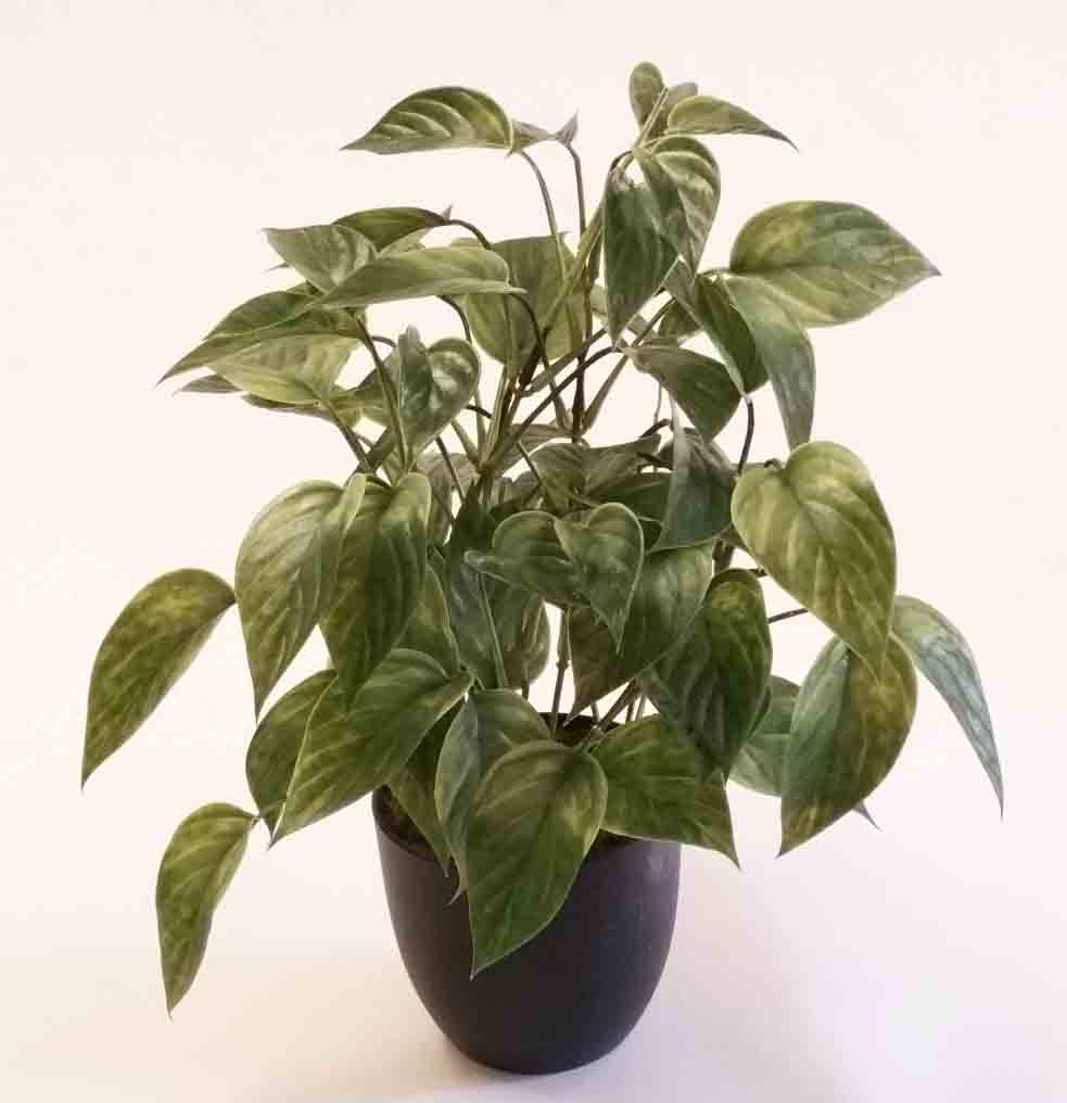 IA17 - 16" Ivy Arrangement - 7.90 ea