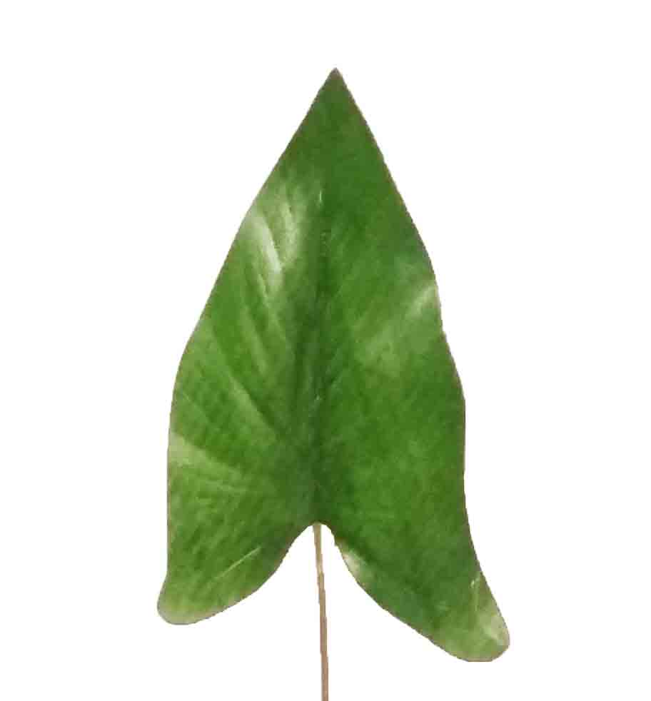 CL1 - 14" Calla Lily Leaf - .45 ea, .35/12