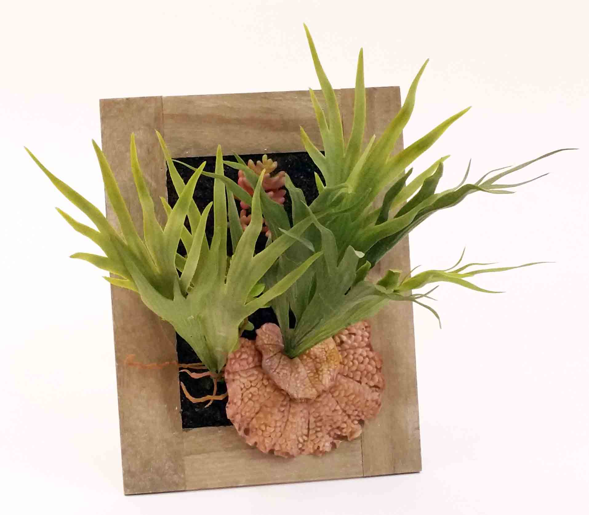 SP998 - Staghorn Wall Planter - 23.50 ea